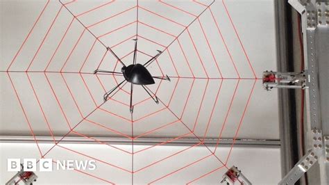 giant web probes spider s sense of vibration bbc news