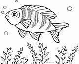 Ausmalbilder Fisch Fische Malvorlagen sketch template