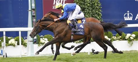 Poets Word And James Doyle Win The King George Vi And Queen Elizabeth