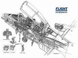 Cutaway Aircraft A10 Warthog Thunderbolt Ii Air Drawing Support Fairchild Usaf Close Ils Airplane Army Future Ground Military Antenna Gear sketch template