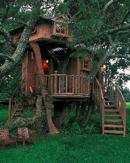 amazing livable tree houses