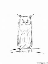 Pages Wenlock Colouring Show Owl Coloring sketch template