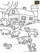 Farm Preschool Coloring Pages Animals Animal sketch template