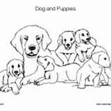 Coloring Animals Dog Puppies Groups Category sketch template