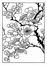 Coloring Blossom Cherry Japanese Pages Tree Printable Flower Designs Oriental Coloriage Colouring Fleur Adult Print Drawing Color Patterns Sheets Adults sketch template