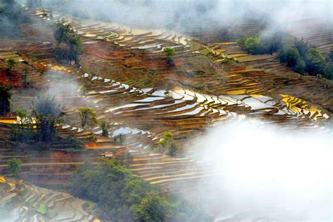 China’s Rice Terraces — The Most Beautiful In The World