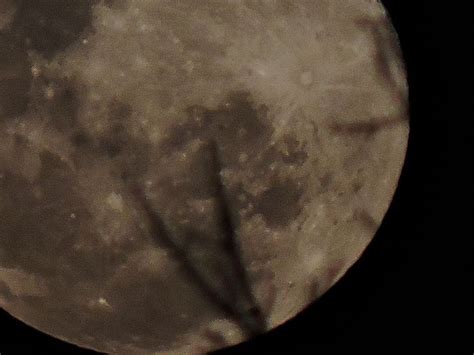 pin de rubén darío clivio en luna luna