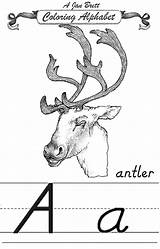 Janbrett Antler Alphabet Coloring Modern Click Subscription Downloads sketch template