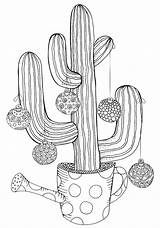 Succulent Verbnow sketch template