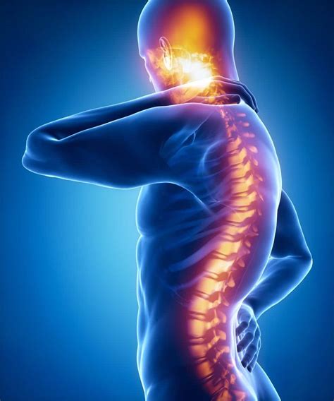 The Costs Of Spinal Cord Injuries Gainsberg Law P C