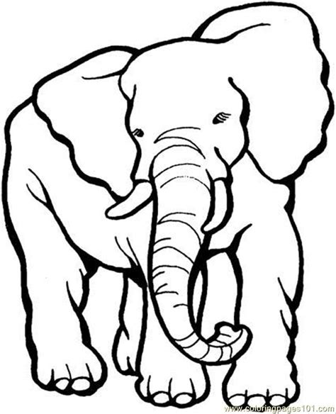 coloring pages elephant  coloring page animals elephant