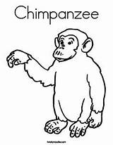Chimpanzee Szympans Kolorowanki Ausmalbild Dzieci Wydruku Schimpanse sketch template