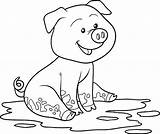 Mud Coloring Pig Illustrations Fun Book Clip Stock Children Game sketch template