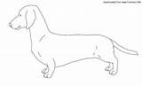 Dog Dachshund Coloring Animals sketch template