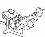 Press Bench Decline Drawing Barbell Getdrawings sketch template
