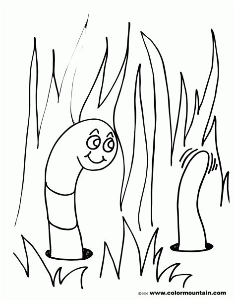 worm coloring pages coloring home
