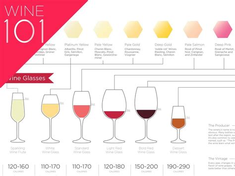 Wine 101 Basic Fundamentals Of Wine And Wine Tasting Appreciation W101 G1