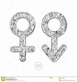 Gender Drawn Symbols Abstract Signs Male Female Hand Coloring Preview sketch template