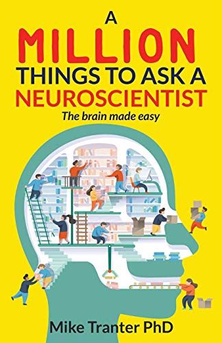 [pdf] Read A Million Things To Ask A Neuroscientist The Brain Made