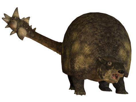 encuentran  caparazon gigante de  animal prehistorico en argentina