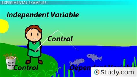 identifying interpreting independent dependent variables video