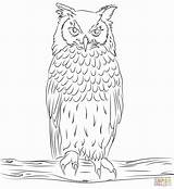 Puchacz Owls Uhu Sowa Malvorlage Horned Kolorowanka Cartoon Sumptuous Kolorowanki Ausdrucken Bengalese Innen Indyjski Eulen Malvorlagen Vogel Kinderbilder Eule Supercoloring sketch template