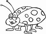 Stink Beetle sketch template