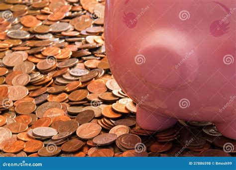piggy bank  coins stock photo image  dimes coin