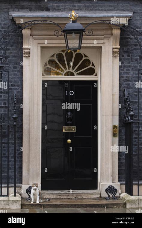 larry  downing street cat   downing street chief mouser   cabinet office
