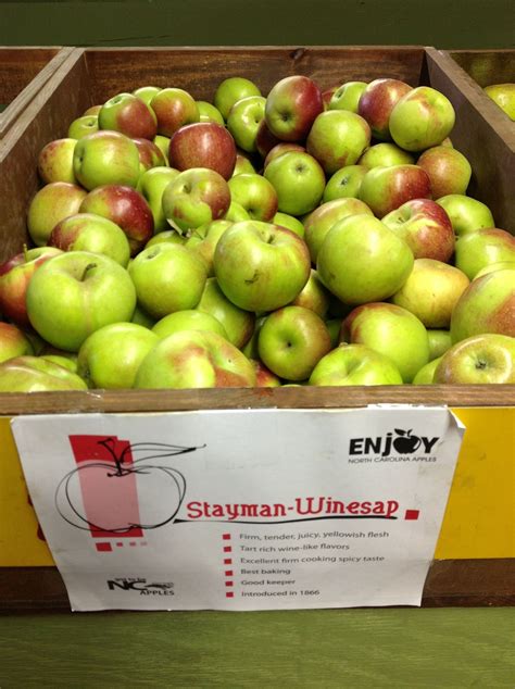 stayman winesap apple varieties apple flavors
