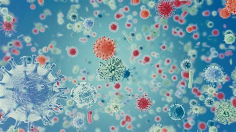 bakterien und viren koennen krankheitserreger selbst krank werden br