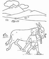 Coloring Pasture Donkey Esel Ausmalbild Designlooter sketch template