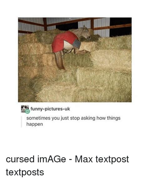 memes  cursed image cursed image memes