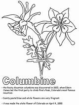 Coloring Colorado Pages Drawing Rocky Mountain Columbine Flower State States Drawings Flowers Colouring Ws Kidzone Geography Usa Embroidery Emblems Tree sketch template