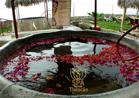 terapia de flores  agua termal mineral tub pool outdoor decor