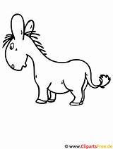 Esel Donkey Ausmalvorlagen Ausmalvorlage Malvorlage sketch template