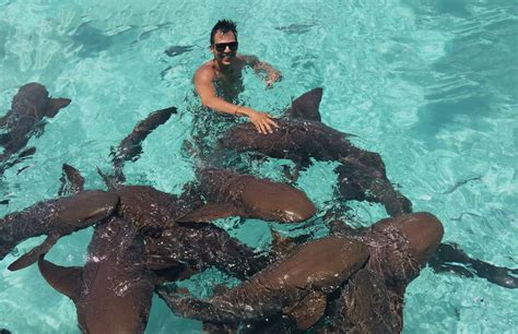 swimming  pigs  sharks  bahamas  continents  passport