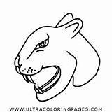 Pantera Panther Colorear Desenho Ultracoloringpages Ultra Palmira Rizzo sketch template
