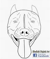 Pitbull Sketch Easy Bull Paintingvalley Coloring Pages sketch template
