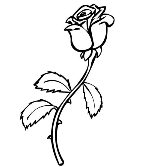 rose coloring pages  decoration educative printable