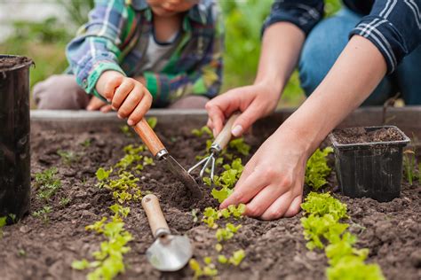 top  tips  pain  gardening healthy headlines