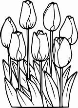 Tulip Tulips Sunflower K5worksheets Blogx sketch template