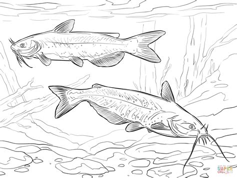 fish swimming   water coloring page
