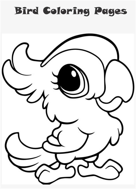 bird coloring page cute parrot coloring pages transparent png