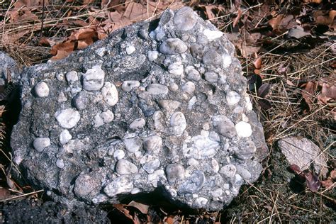 conglomerate rock stock image  science photo library
