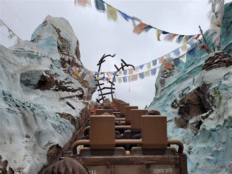 expedition everest overview disneys animal kingdom attractions