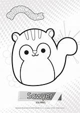 Squishmallow Squishmallows Squirrel Sawyer Colouring Brown sketch template