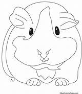Pig Mandala sketch template