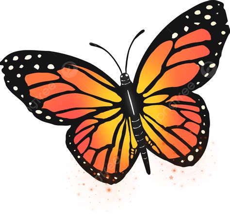 Mariposa Monarca De Estilo De Dibujos Animados Clipart Insecto Naranja
