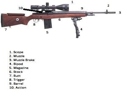 nuguns anatomy   rifle